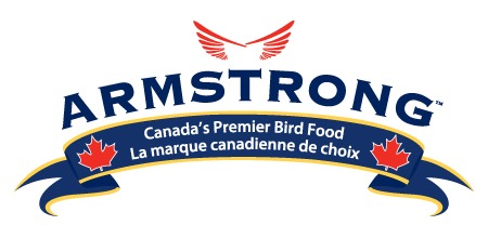 Armstrong-Logo