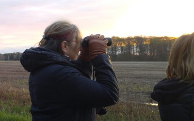 Le Grand Birdathon pancanadien en mode recrutement