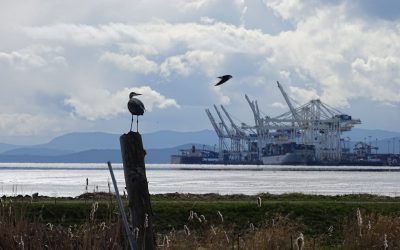 17 groupes environnementaux présentent un plan pour la nature à l’approche du Sommet mondial de la biodiversité