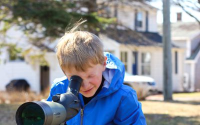 Un programme pour les jeunes et leurs familles : Des élèves aux oiseaux à la maison