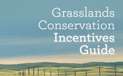 Un nouveau programme qui profitera aux éleveurs de bétail et aux oiseaux des prairies