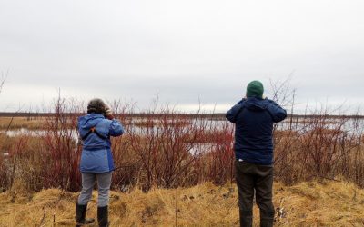 Une transition qui aidera à établir les priorités en matière de conservation