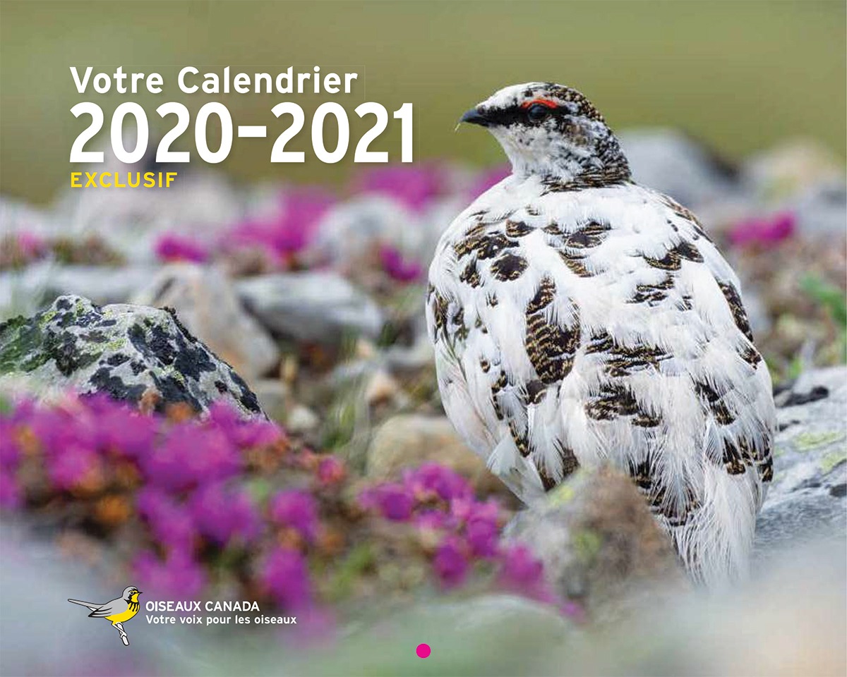 Members calendar 2021_cover_FR