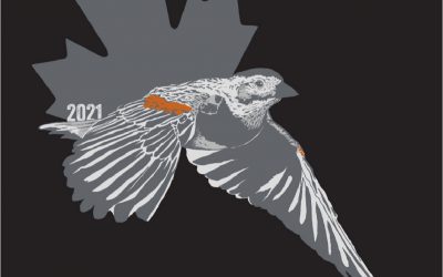 Participez au Grand Birdathon pancanadien