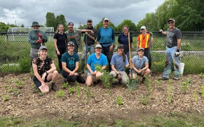 La plantation communautaire au service de la biodiversité