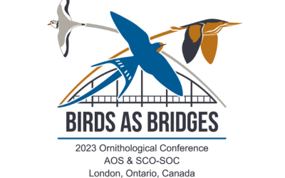 Conférence : Les oiseaux comme passerelles
