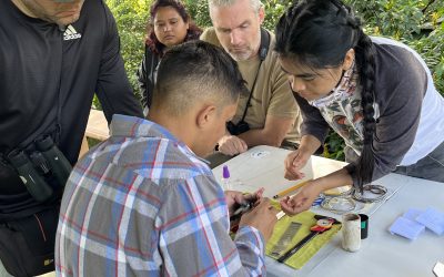 Renforcement des capacités en Amérique latine au profit de la conservation