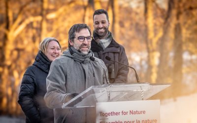 Le gouvernement du Canada investit 3 millions de dollars dans la science citoyenne et l’accès libre aux données sur les oiseaux et la biodiversité