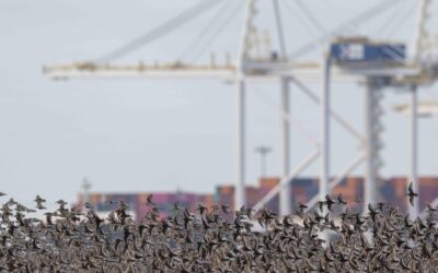 Réaction à l’adoption du projet de loi C-5 et de la Loi visant à bâtir le Canada