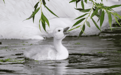 Mentions honorables: 5 photos qui nous ont emballés