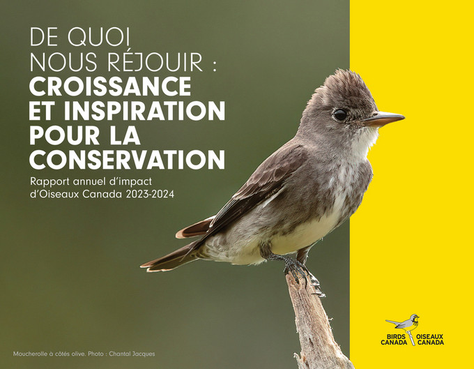 Report cover features an Olive-