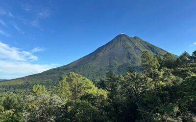 Tournée sur le versant caraïbe du Costa Rica avec Oiseaux Canada et Eagle-eye Tours