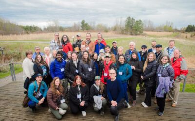 Le partenariat Oiseaux Canada-Université Western renforce la science là où les oiseaux et la nature ont besoin de prospérer